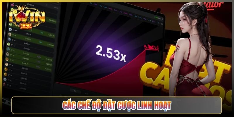 Các Chế Độ Đặt Cược Linh Hoạt