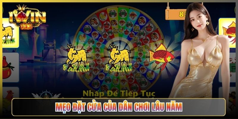 Mẹo Đặt Cửa Của Dân Chơi Lâu Năm
