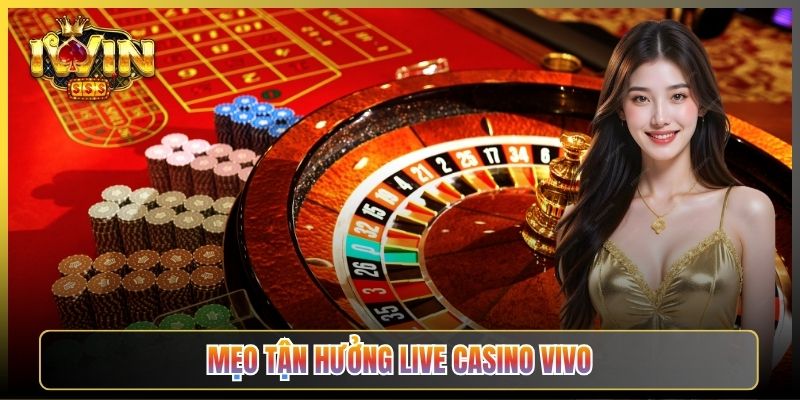 Mẹo Tận Hưởng Live Casino Vivo