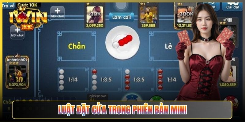 Luật Đặt Cửa Trong Phiên Bản Mini